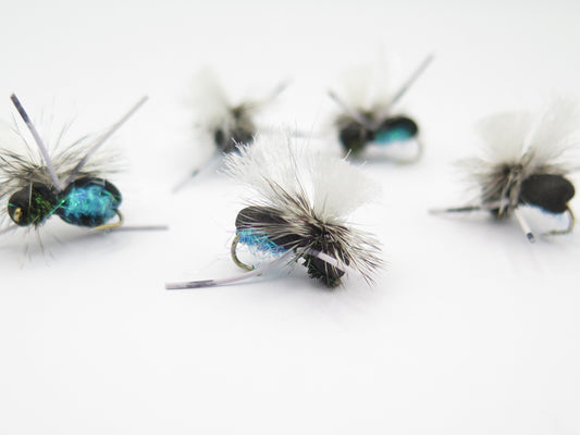 Blow Fly,Brown Trout, Rainbow Trout, Cicada pattern, Dirty Flys, Fishing Flies New Zealand, Best fly-fishing fly, Pat Swift, Category 3, Manic Tackle, Stu's Flies, Trout fishing NZ. South Island fly fishing. Turangi Trout fishing. Glow bug, Egg fly.