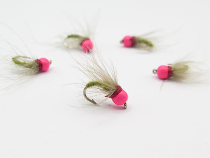 Circumcised Pickle UV